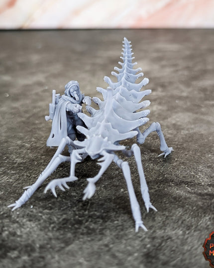 Erroish Beast Trainer and Sand Sprinters