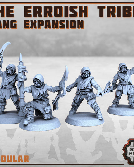 The Erroish Tribe - Gang Expansion