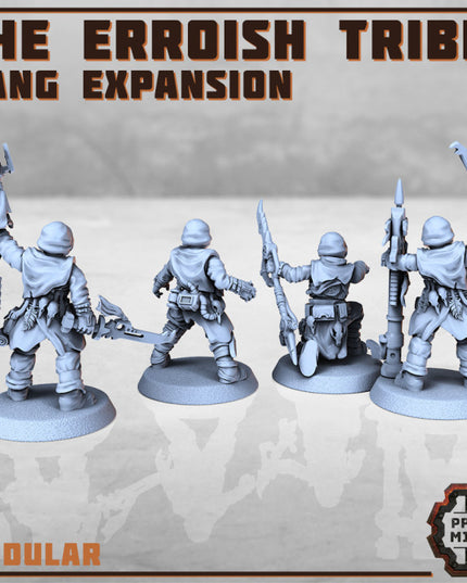 The Erroish Tribe - Gang Expansion