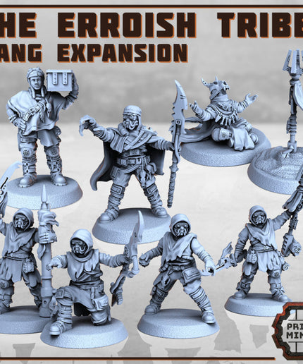 The Erroish Tribe - Gang Expansion