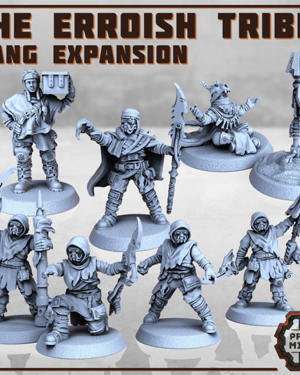 The Erroish Tribe - Gang Expansion
