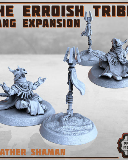 The Erroish Tribe - Gang Expansion