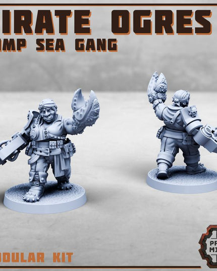 Female Pirate Ogres