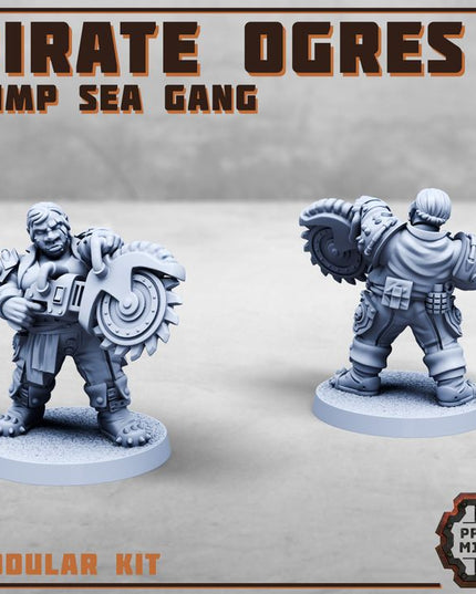 Female Pirate Ogres