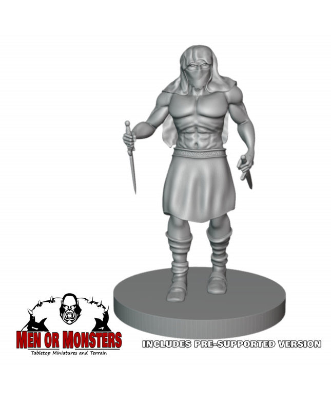 Forgotten Assassin - Rogue - 1 Figure