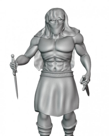 Forgotten Assassin - Rogue - 1 Figure