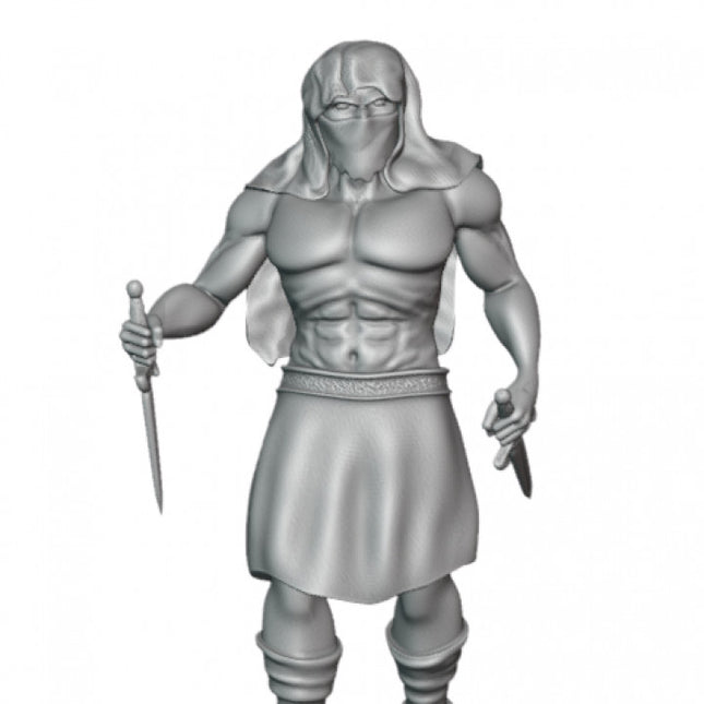 Forgotten Assassin - Rogue - 1 Figure