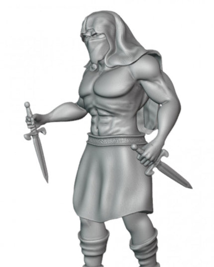 Forgotten Assassin - Rogue - 1 Figure