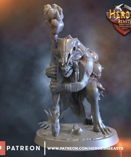 Gnoll witch doctor