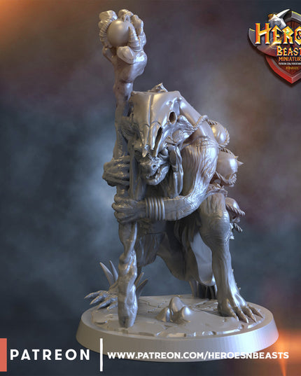 Gnoll witch doctor