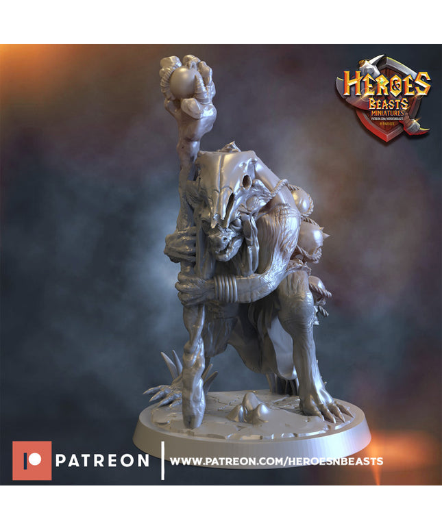 Gnoll witch doctor