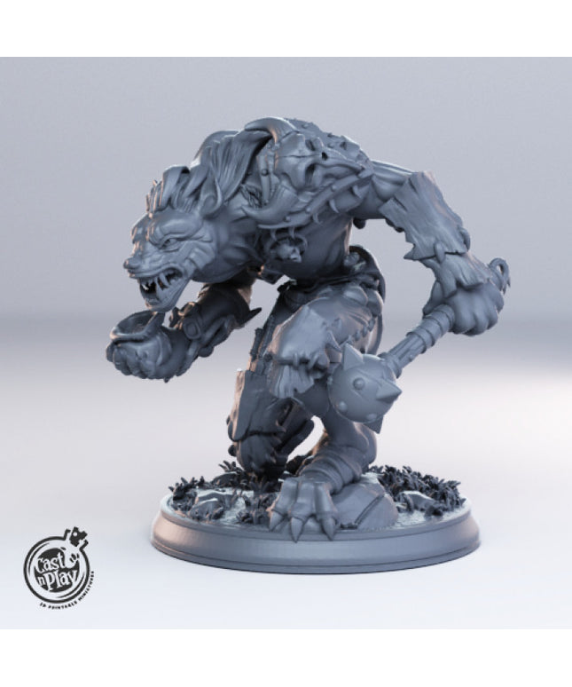 Gnoll Leader