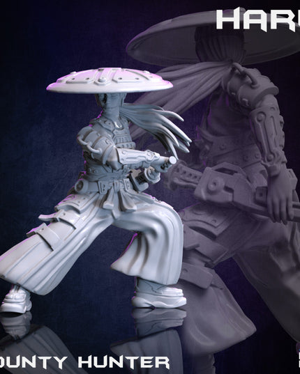 Haru and Kaito - The Bounty Hunter Collection