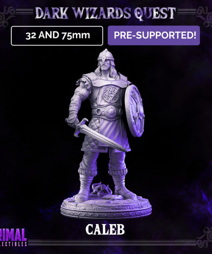 Scout/ Mercenary /Man- at- arms - Caleb - DARK WIZARDS - MASTERS OF DUNGEONS QUEST