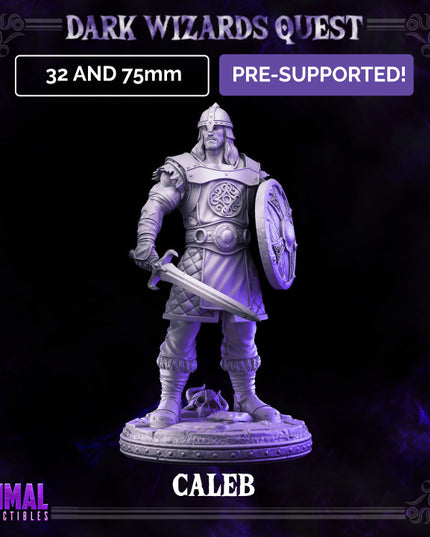 Scout/ Mercenary /Man- at- arms - Caleb - DARK WIZARDS - MASTERS OF DUNGEONS QUEST