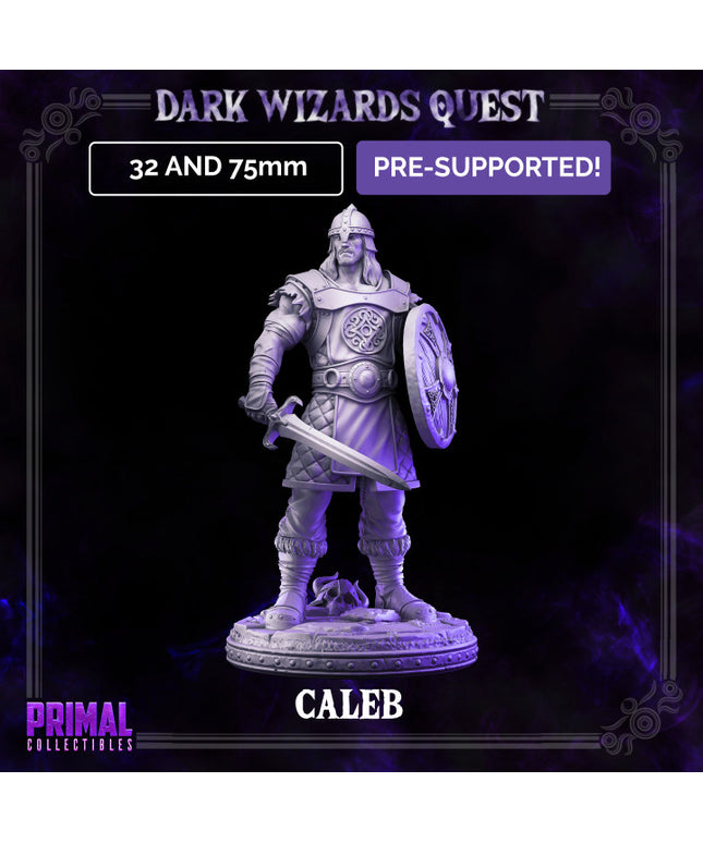 Scout/ Mercenary /Man- at- arms - Caleb - DARK WIZARDS - MASTERS OF DUNGEONS QUEST