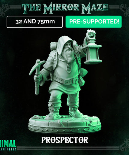 Prospector - Bust - THE MIRROR MAZE - MASTERS OF DUNGEONS QUEST