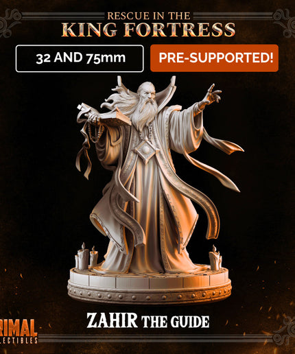 Wizard - ZAHIR THE GUIDE - April 2023 - RESCUE IN THE KING FORTRESS - MASTERS OF DUNGEONS QUEST