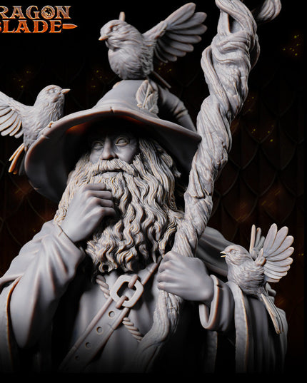 Wizard - Linus the marvelous - July 2023 - DRAGONBLADE- MASTERS OF DUNGEONS QUEST