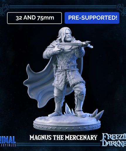 Mercenary - Man-at-arms - Magnus - FREEZING DARKNESS - MASTERS OF DUNGEONS QUEST