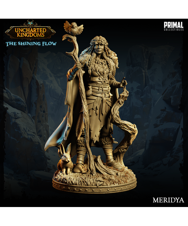 Druid - Meridya - June 2024 - Uncharted Kingdoms
