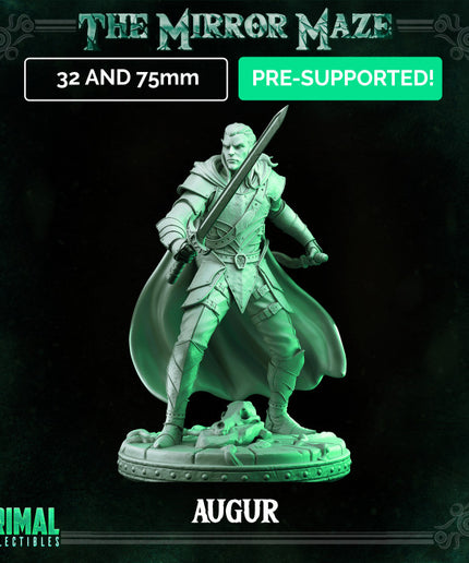 Elf - Augur - THE MIRROR MAZE - MASTERS OF DUNGEONS QUEST