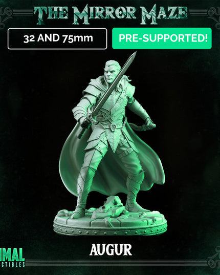 Elf - Augur - THE MIRROR MAZE - MASTERS OF DUNGEONS QUEST