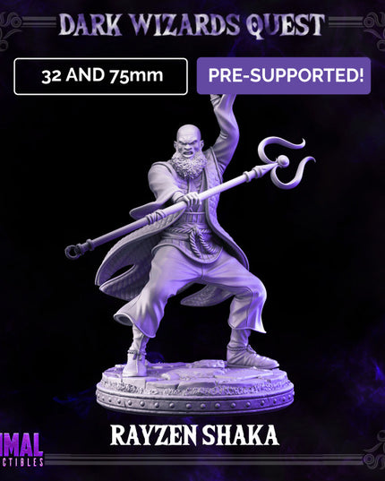 Storm Master - Rayzen Shaka - DARK WIZARDS - MASTERS OF DUNGEONS QUEST