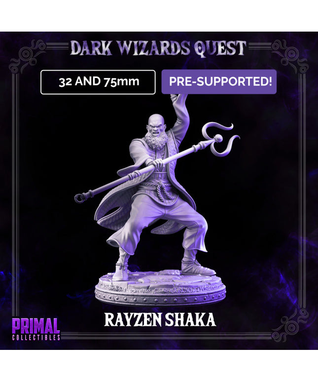 Storm Master - Rayzen Shaka - DARK WIZARDS - MASTERS OF DUNGEONS QUEST