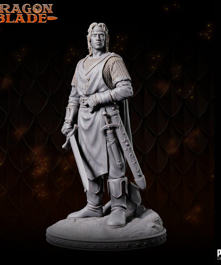 Elf Warrior/ Wizard - Everan - August 2023 - DRAGONBLADE- MASTERS OF DUNGEONS QUEST