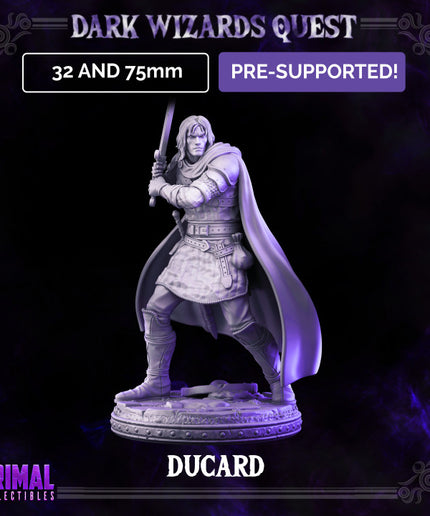 Swordsman/ Mercenary /Man- at- arms - Ducard - DARK WIZARDS - MASTERS OF DUNGEONS QUEST
