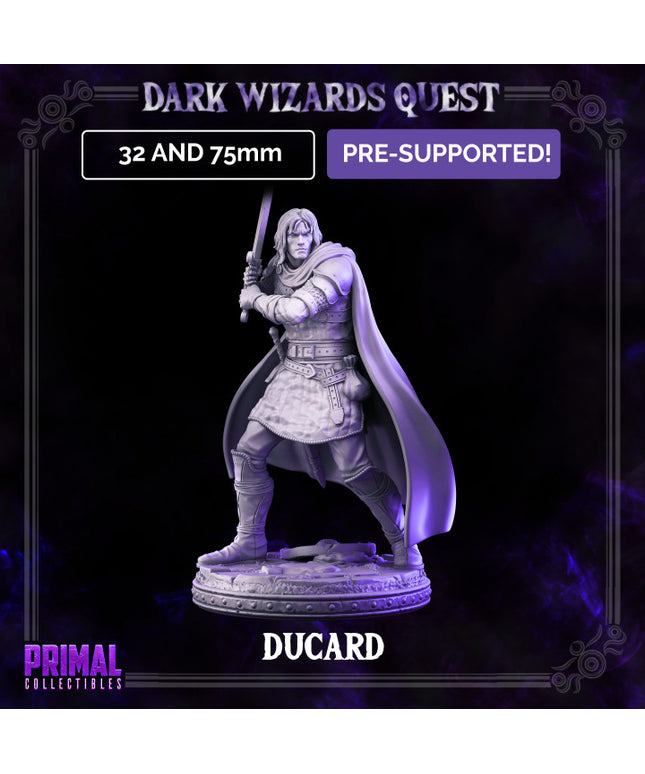 Swordsman/ Mercenary /Man- at- arms - Ducard - DARK WIZARDS - MASTERS OF DUNGEONS QUEST