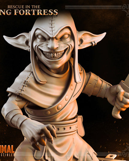 Goblin - April 2023 - RESCUE IN THE KING FORTRESS - MASTERS OF DUNGEONS QUEST