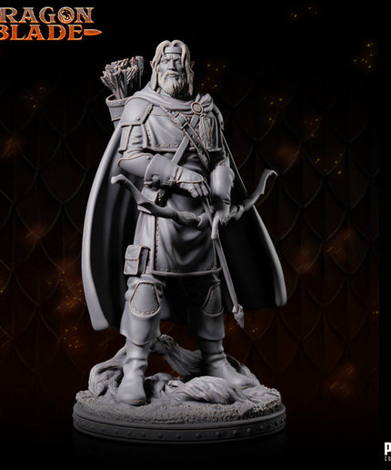 Half Elf - LEONAN - May 2023 - DRAGONBLADE- MASTERS OF DUNGEONS QUEST