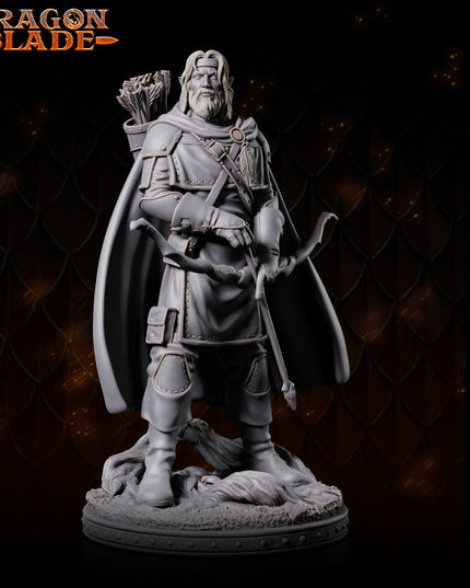 Half Elf - LEONAN - May 2023 - DRAGONBLADE- MASTERS OF DUNGEONS QUEST