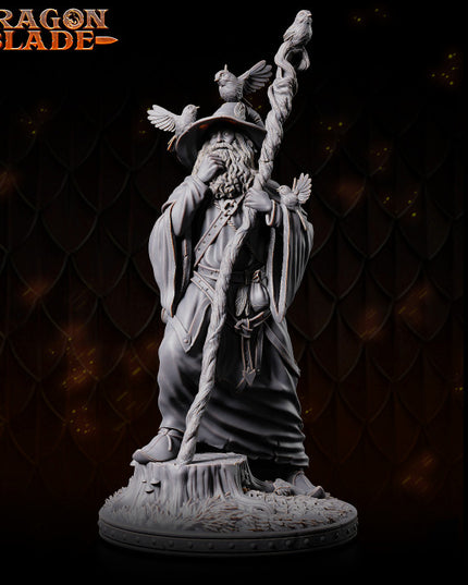 Wizard - Linus the marvelous - July 2023 - DRAGONBLADE- MASTERS OF DUNGEONS QUEST