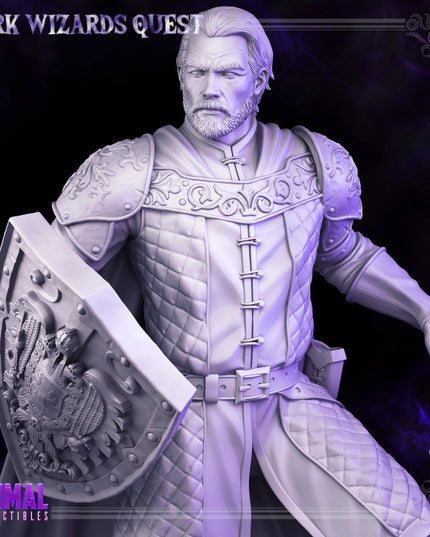 Knight - Demetrius - DARK WIZARDS - MASTERS OF DUNGEONS QUEST