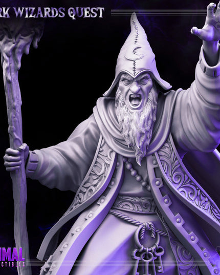 High Mage - Hasaugul - DARK WIZARDS - MASTERS OF DUNGEONS QUEST