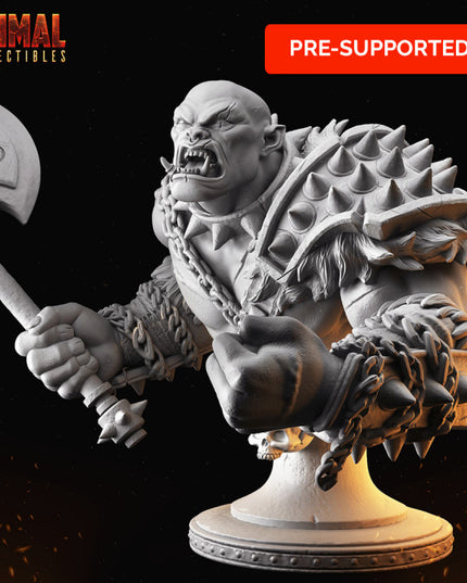 16 busts - complete bundle - MASTERS OF DUNGEONS QUEST