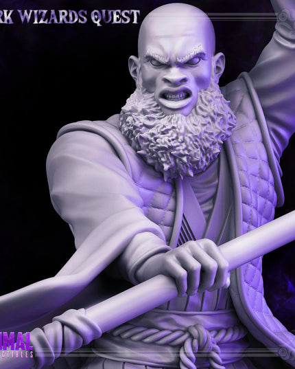 Storm Master - Rayzen Shaka - DARK WIZARDS - MASTERS OF DUNGEONS QUEST