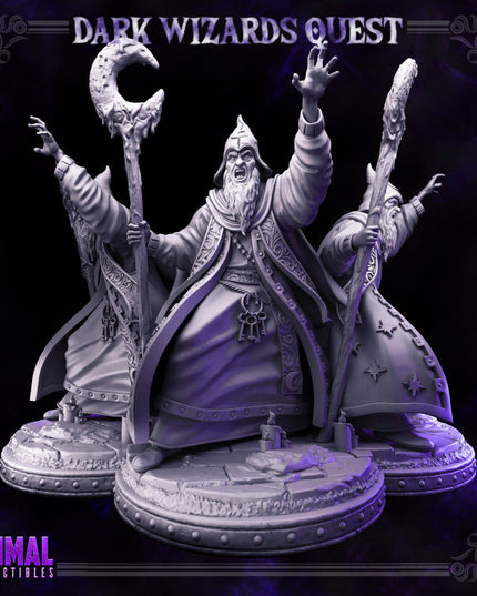 High Mage - Hasaugul - DARK WIZARDS - MASTERS OF DUNGEONS QUEST