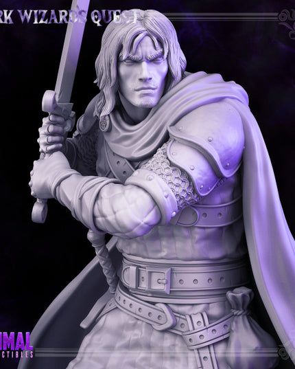Swordsman/ Mercenary /Man- at- arms - Ducard - DARK WIZARDS - MASTERS OF DUNGEONS QUEST