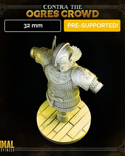 Magical armor - CONTRA THE OGRES CROWD - MASTERS OF DUNGEONS QUEST