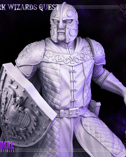 Knight - Demetrius - DARK WIZARDS - MASTERS OF DUNGEONS QUEST