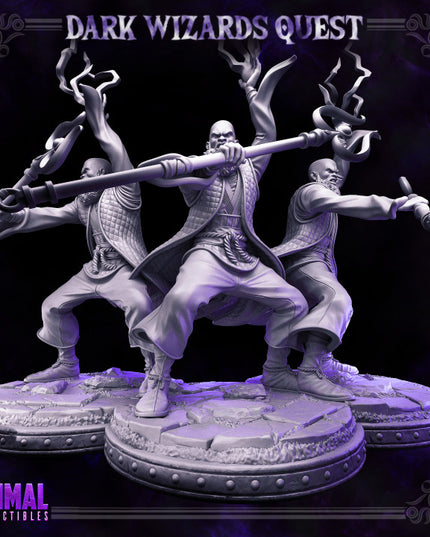 Storm Master - Rayzen Shaka - DARK WIZARDS - MASTERS OF DUNGEONS QUEST