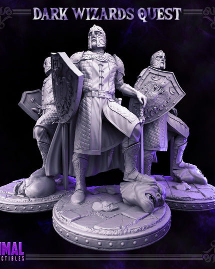 Knight - Demetrius - DARK WIZARDS - MASTERS OF DUNGEONS QUEST