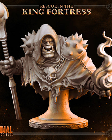 Orc spellcaster - BORGAKH THROGSON - Bust- April 2023 - RESCUE IN THE KING FORTRESS - MASTERS OF DUNGEONS QUEST