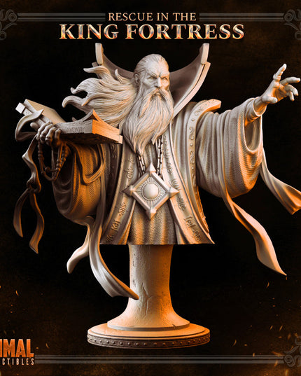 Wizard - ZAHIR THE GUIDE - Bust- April 2023 - RESCUE IN THE KING FORTRESS - MASTERS OF DUNGEONS QUEST