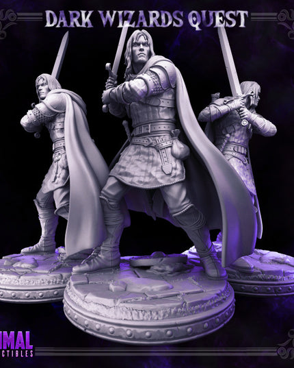 Swordsman/ Mercenary /Man- at- arms - Ducard - DARK WIZARDS - MASTERS OF DUNGEONS QUEST