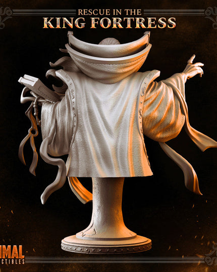 Wizard - ZAHIR THE GUIDE - Bust- April 2023 - RESCUE IN THE KING FORTRESS - MASTERS OF DUNGEONS QUEST